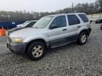 2007 Ford Escape XLT