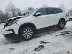 2021 Honda Pilot EXL