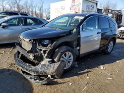 Salvage cars for sale at Baltimore, MD auction: 2013 Honda CR-V EXL