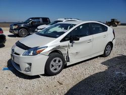 Salvage cars for sale at Taylor, TX auction: 2010 Toyota Prius