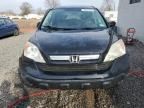 2007 Honda CR-V EXL