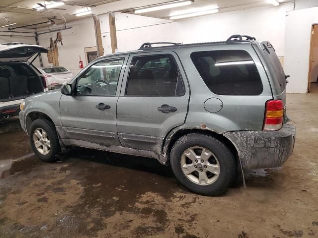 2007 Ford Escape XLT