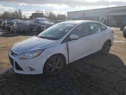 Ford salvage cars for sale: 2013 Ford Focus SE