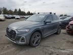 2021 Audi Q5 E Prestige