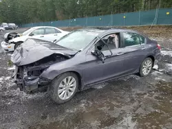 Honda Accord ex salvage cars for sale: 2014 Honda Accord EX