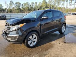 Salvage cars for sale at Harleyville, SC auction: 2013 KIA Sportage Base