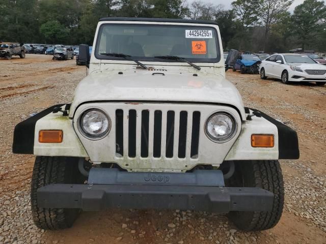 2000 Jeep Wrangler / TJ SE