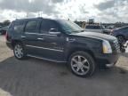 2007 Cadillac Escalade Luxury