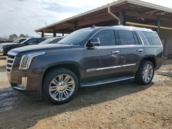 Salvage cars for sale at Tanner, AL auction: 2016 Cadillac Escalade Luxury