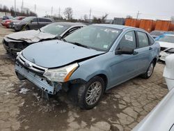 Ford Focus se salvage cars for sale: 2009 Ford Focus SE