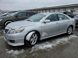 Salvage cars for sale at Louisville, KY auction: 2010 Toyota Camry Base