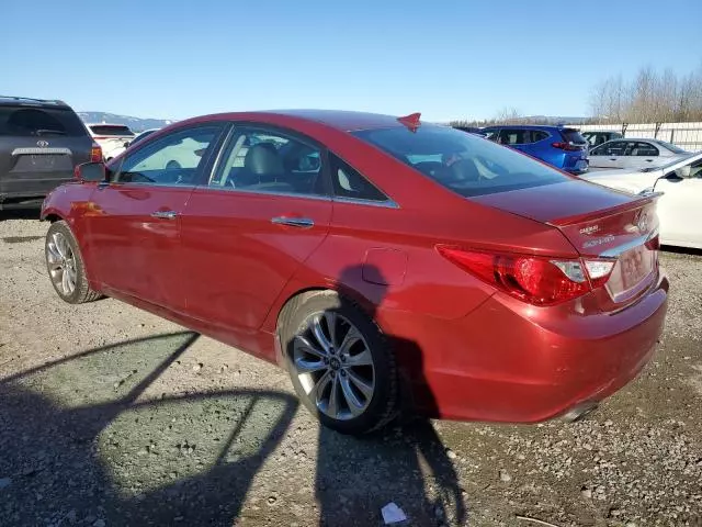 2013 Hyundai Sonata SE