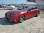 2019 Lexus ES 300H