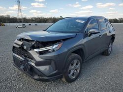 Toyota salvage cars for sale: 2023 Toyota Rav4 XLE