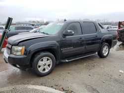 Salvage SUVs for sale at auction: 2009 Chevrolet Avalanche K1500 LT