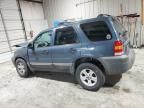 2005 Ford Escape XLT