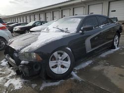 Salvage cars for sale at Louisville, KY auction: 2012 Dodge Charger SE