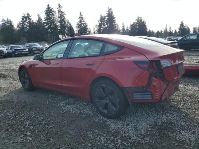 2021 Tesla Model 3