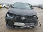 2024 Lexus NX 250 Premium