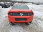 2013 Ford Mustang