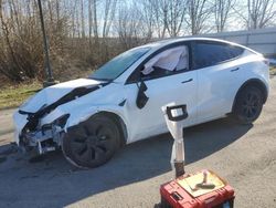 Salvage cars for sale at Arlington, WA auction: 2025 Tesla Model Y