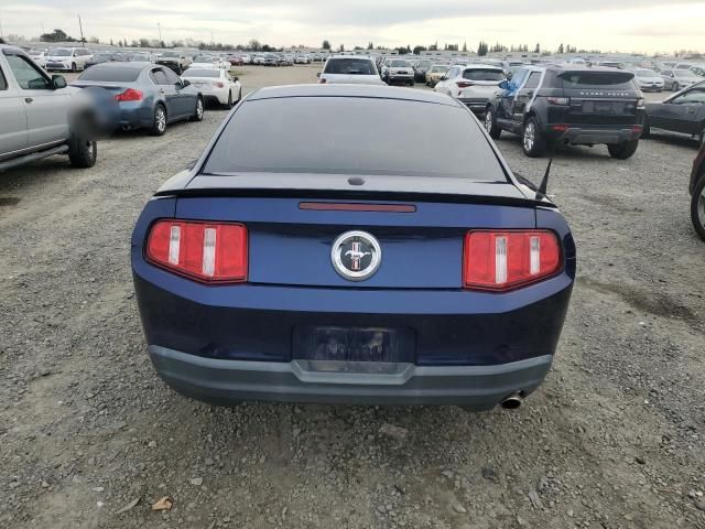 2010 Ford Mustang