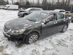 Salvage cars for sale at Waldorf, MD auction: 2014 Honda Accord EX