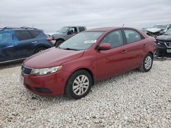 Salvage cars for sale at Taylor, TX auction: 2011 KIA Forte EX