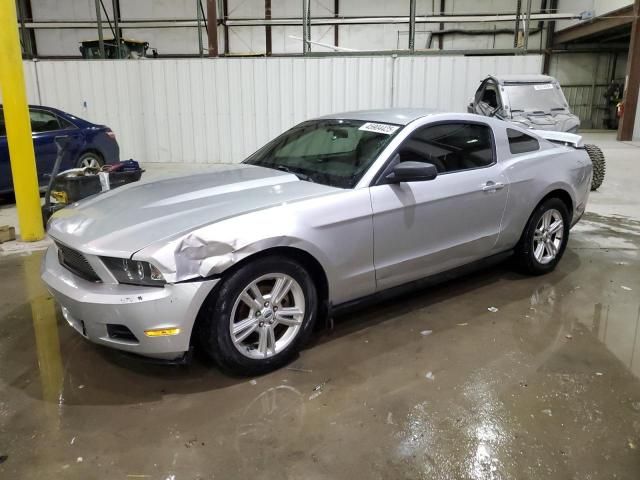 2010 Ford Mustang