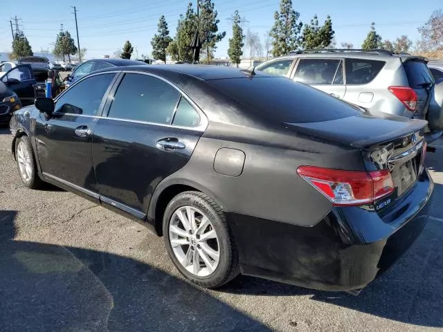 2010 Lexus ES 350