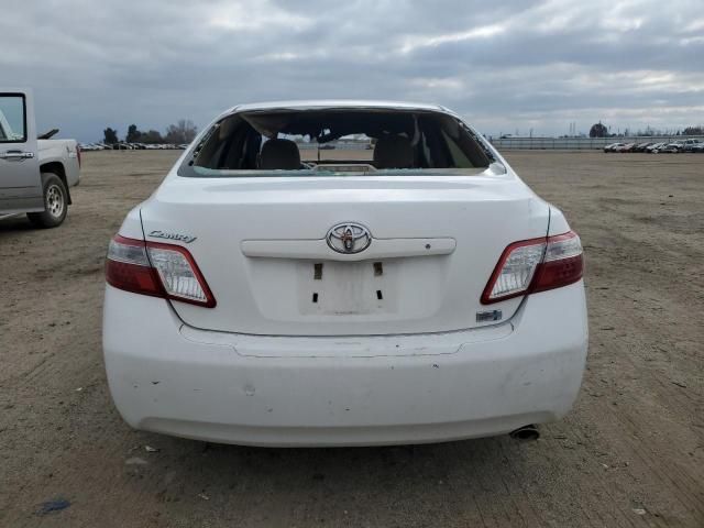 2009 Toyota Camry Hybrid