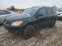 Salvage cars for sale at Brighton, CO auction: 2009 Toyota Rav4