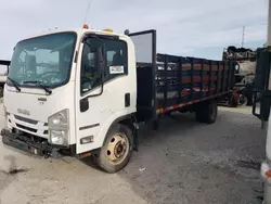 Salvage trucks for sale at New Orleans, LA auction: 2016 Isuzu NPR HD