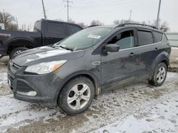 SUV salvage a la venta en subasta: 2016 Ford Escape SE