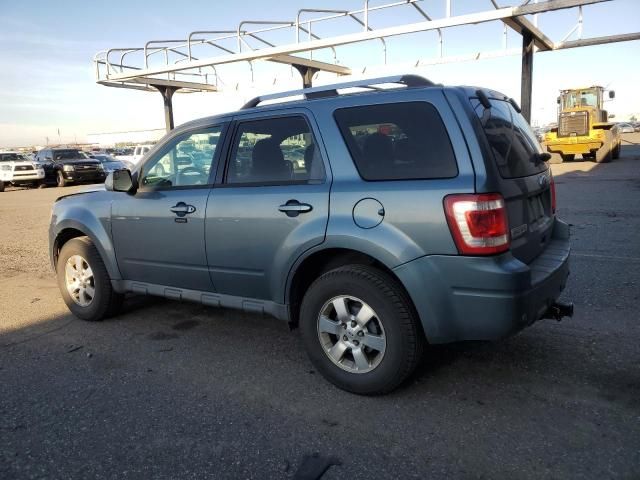 2011 Ford Escape Limited