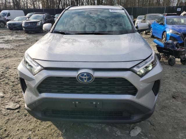 2024 Toyota Rav4 XLE