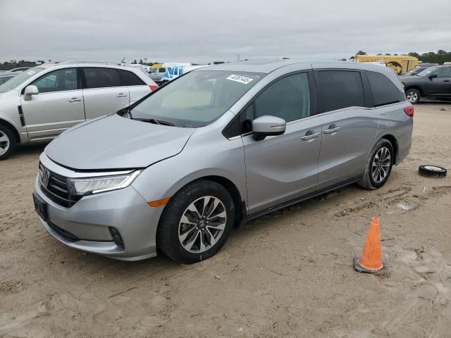 2022 Honda Odyssey EXL