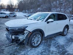 Salvage cars for sale at Marlboro, NY auction: 2023 Honda CR-V EXL