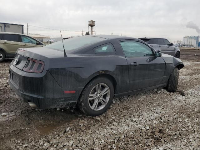 2014 Ford Mustang