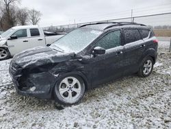 Salvage cars for sale at Cicero, IN auction: 2014 Ford Escape SE