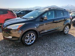 Salvage cars for sale at Magna, UT auction: 2013 Ford Escape SEL