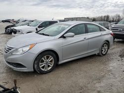 Hyundai Sonata gls salvage cars for sale: 2014 Hyundai Sonata GLS