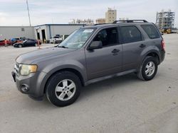 Salvage cars for sale at New Orleans, LA auction: 2010 Ford Escape XLT