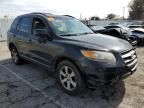 2007 Hyundai Santa FE SE