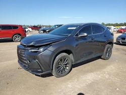 Run And Drives Cars for sale at auction: 2023 Lexus NX 350