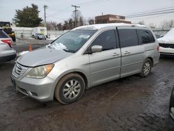 Honda Vehiculos salvage en venta: 2009 Honda Odyssey EXL