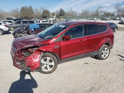 Carros con título limpio a la venta en subasta: 2014 Ford Escape SE