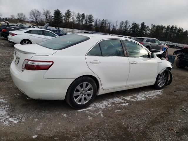 2008 Toyota Camry Hybrid