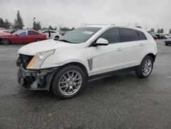 Salvage cars for sale from Copart Rancho Cucamonga, CA: 2013 Cadillac SRX Performance Collection