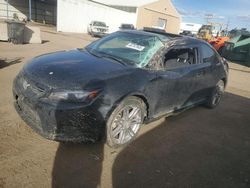 Salvage cars for sale at Brighton, CO auction: 2011 Scion TC